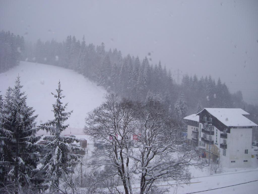 Sia Mountain Apartment Predeal Pokój zdjęcie