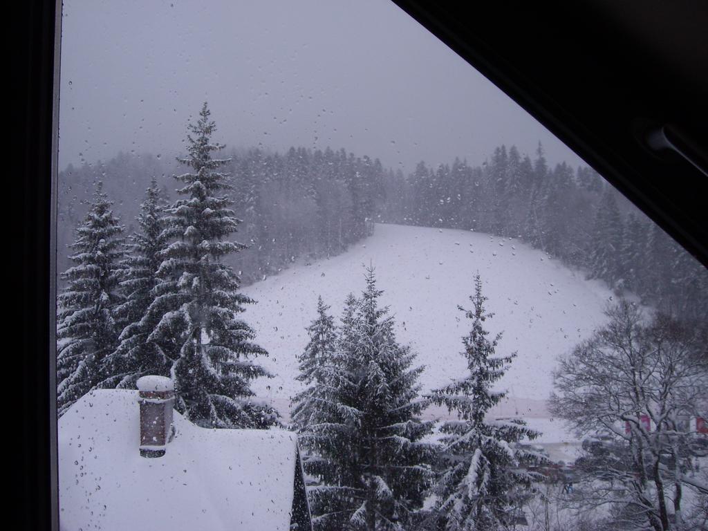 Sia Mountain Apartment Predeal Pokój zdjęcie